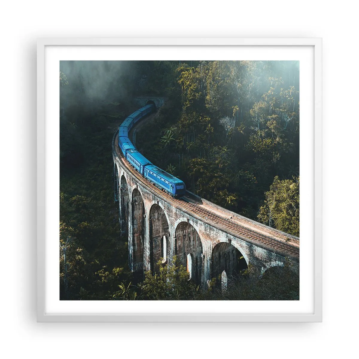 Poster in white frmae - Train through Nature - 60x60 cm