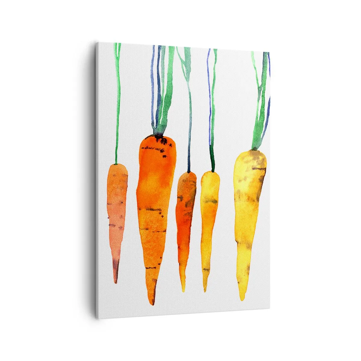 Canvas picture - Beauty of Common Carrot - 50x70 cm