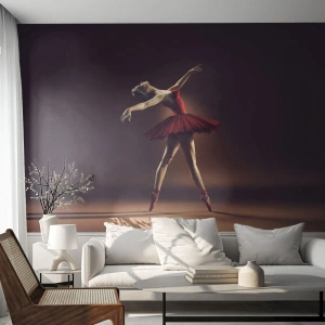 Self-Adhesive Photo Wallpaper Deluxe Sticker - Prima Ballerina - Ballerina, Dance, Ballet - 500x350 cm