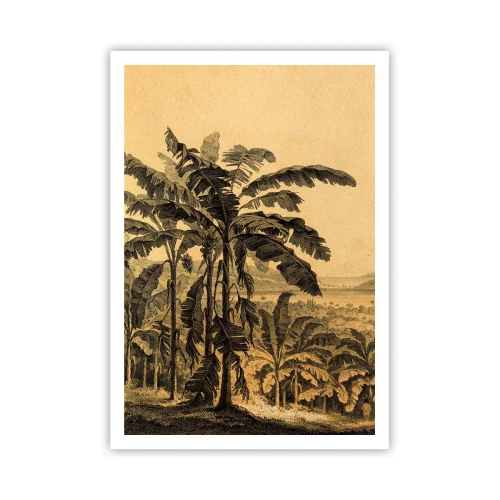 Poster - In Colonial Character - 70x100 cm
