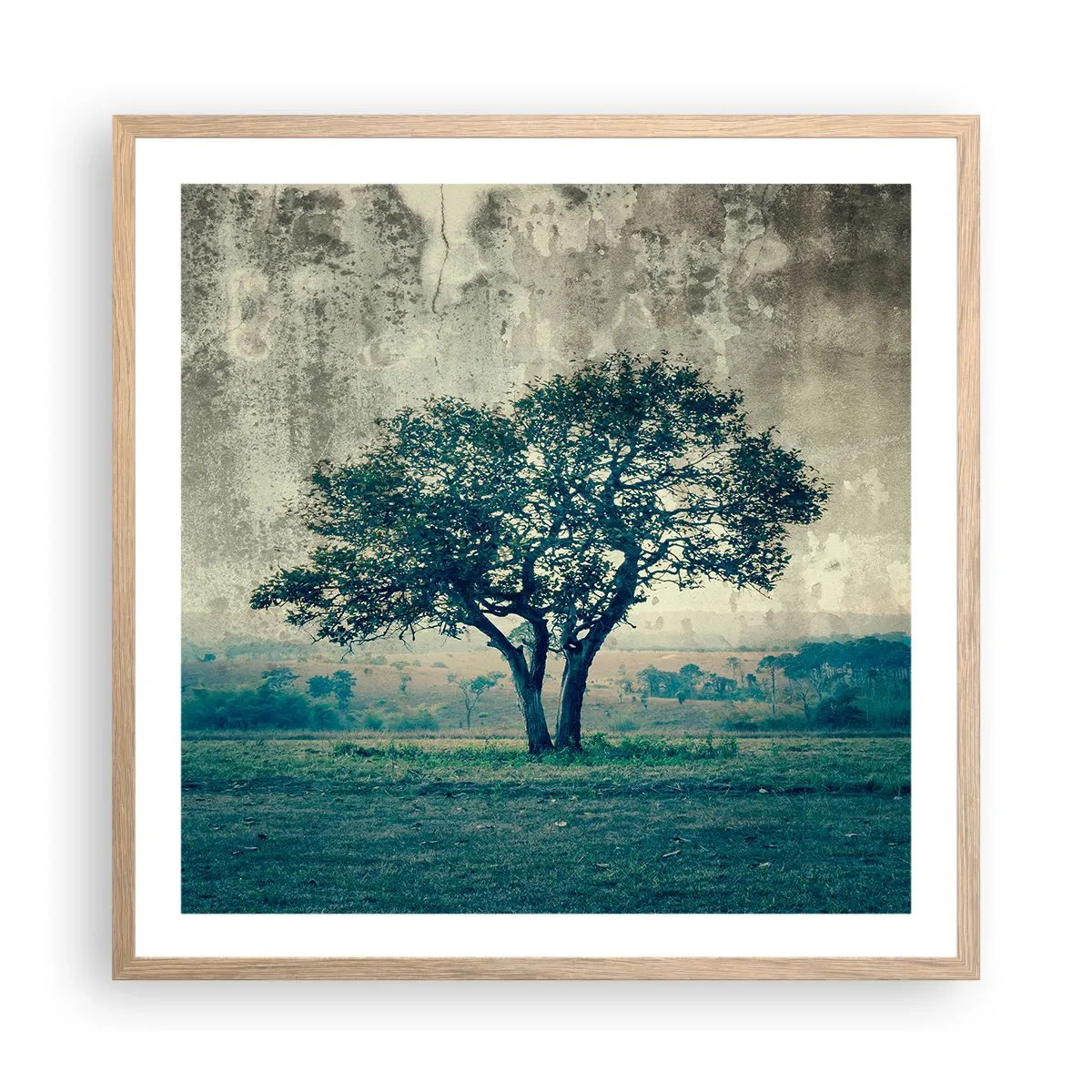 Poster in light oak frame - Apple Tree in Blue? - 60x60 cm