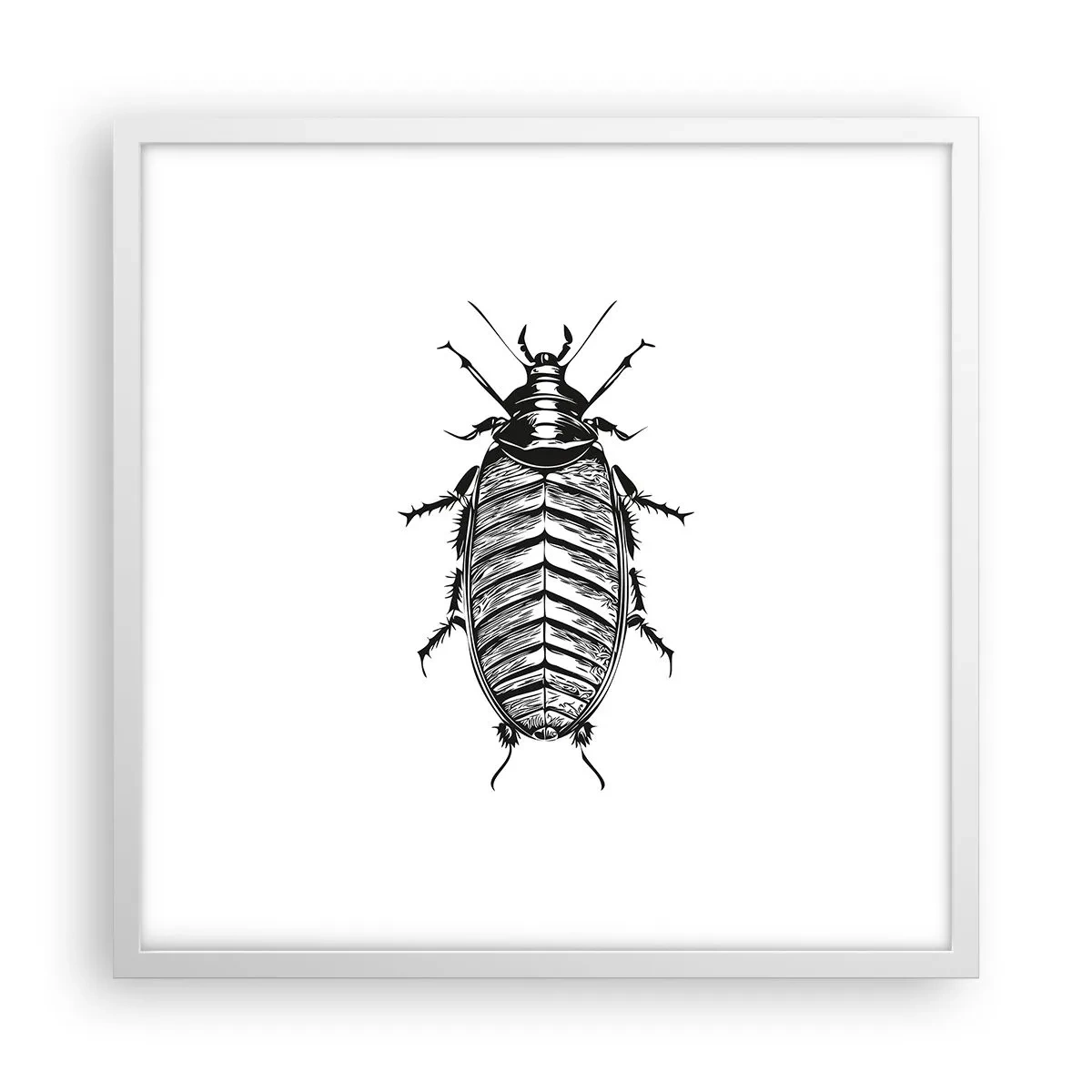 Poster in white frmae - What a Specimen - 50x50 cm