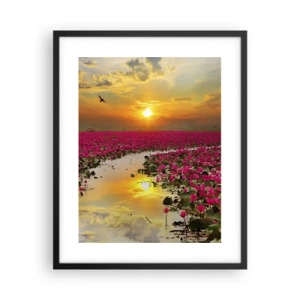 Poster in black frame - Secret Life of a Lake - 40x50 cm