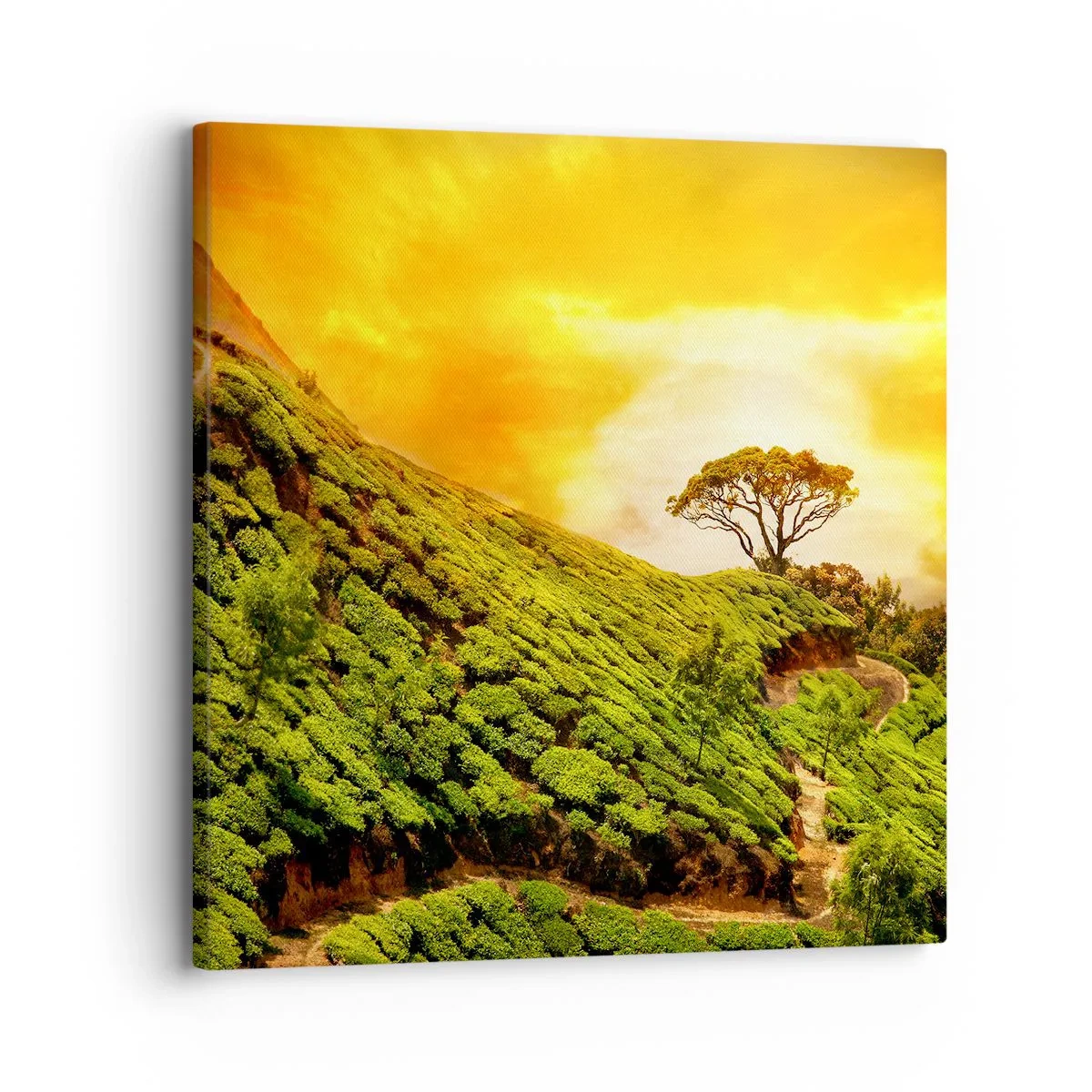 Canvas picture - Winding Path, Green Slope - 30x30 cm