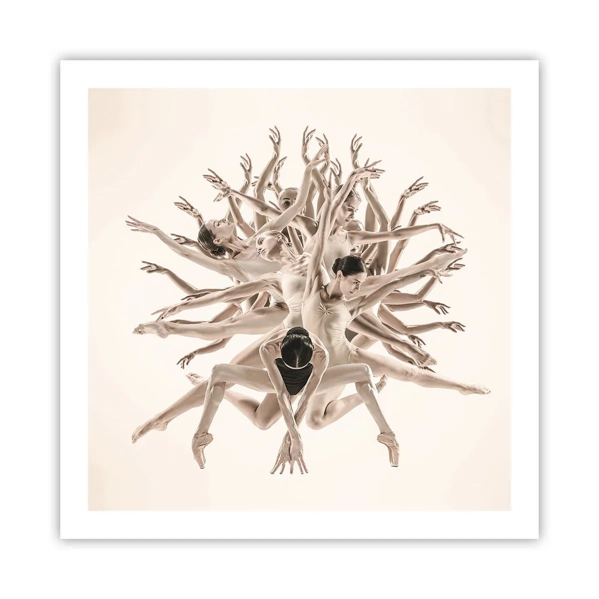 Poster - Dance in Bloom - 60x60 cm