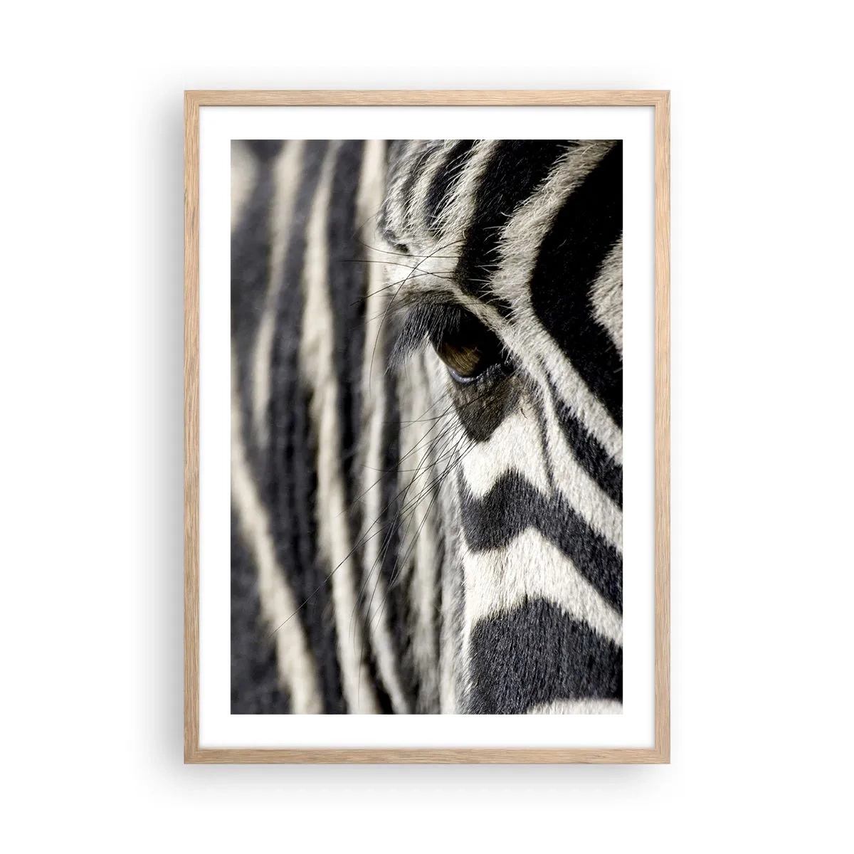 Poster in light oak frame - Striped Portrait - 50x70 cm