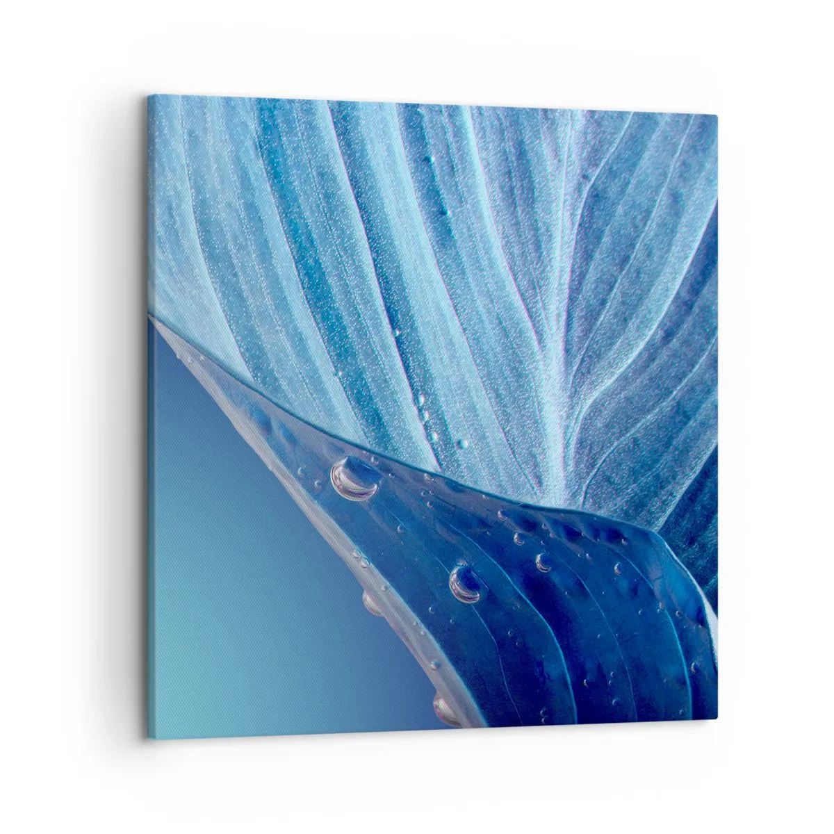 Canvas picture - Hidden Drops of Blue - 50x50 cm