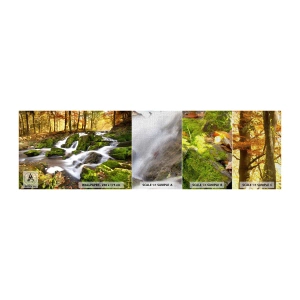 Photo Wallpaper Sample Premium Canvas - Gingerly through an Autumnal Forest - Landscape, Forest, Mountain stream - 100x30 cm