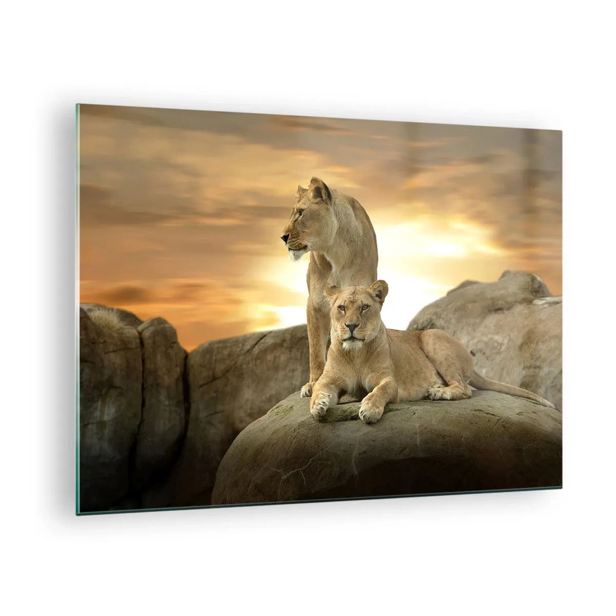Glass picture - Royal Majesty - 70x50cm - Royal Majesty - Modern wall decoration for the living room and bedroom ARTTOR