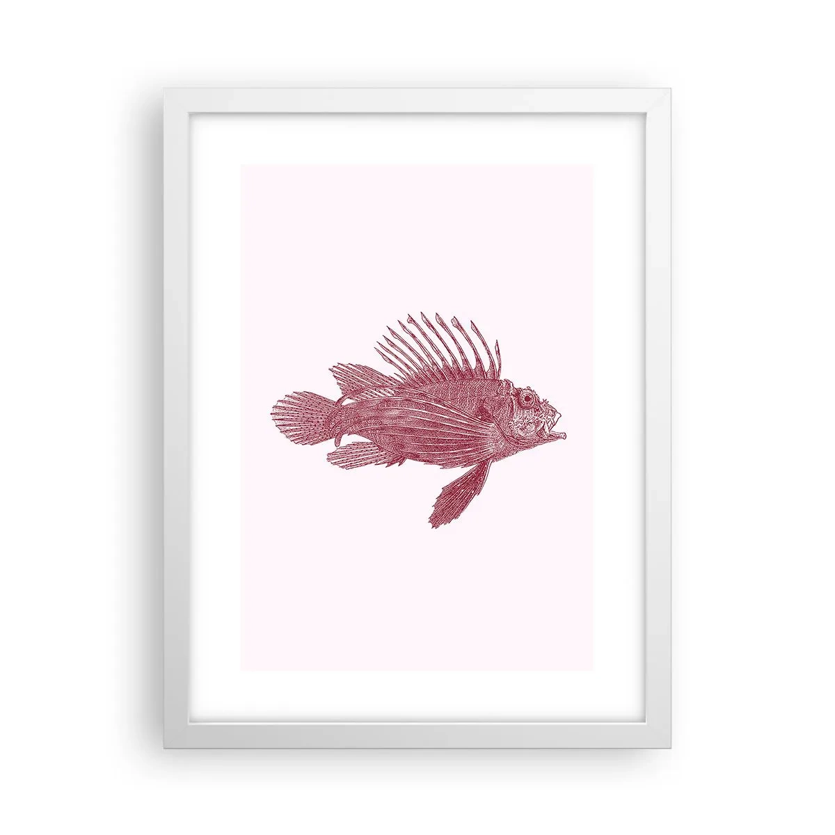 Poster in white frmae - Dweller of Exotic Waters - 30x40 cm