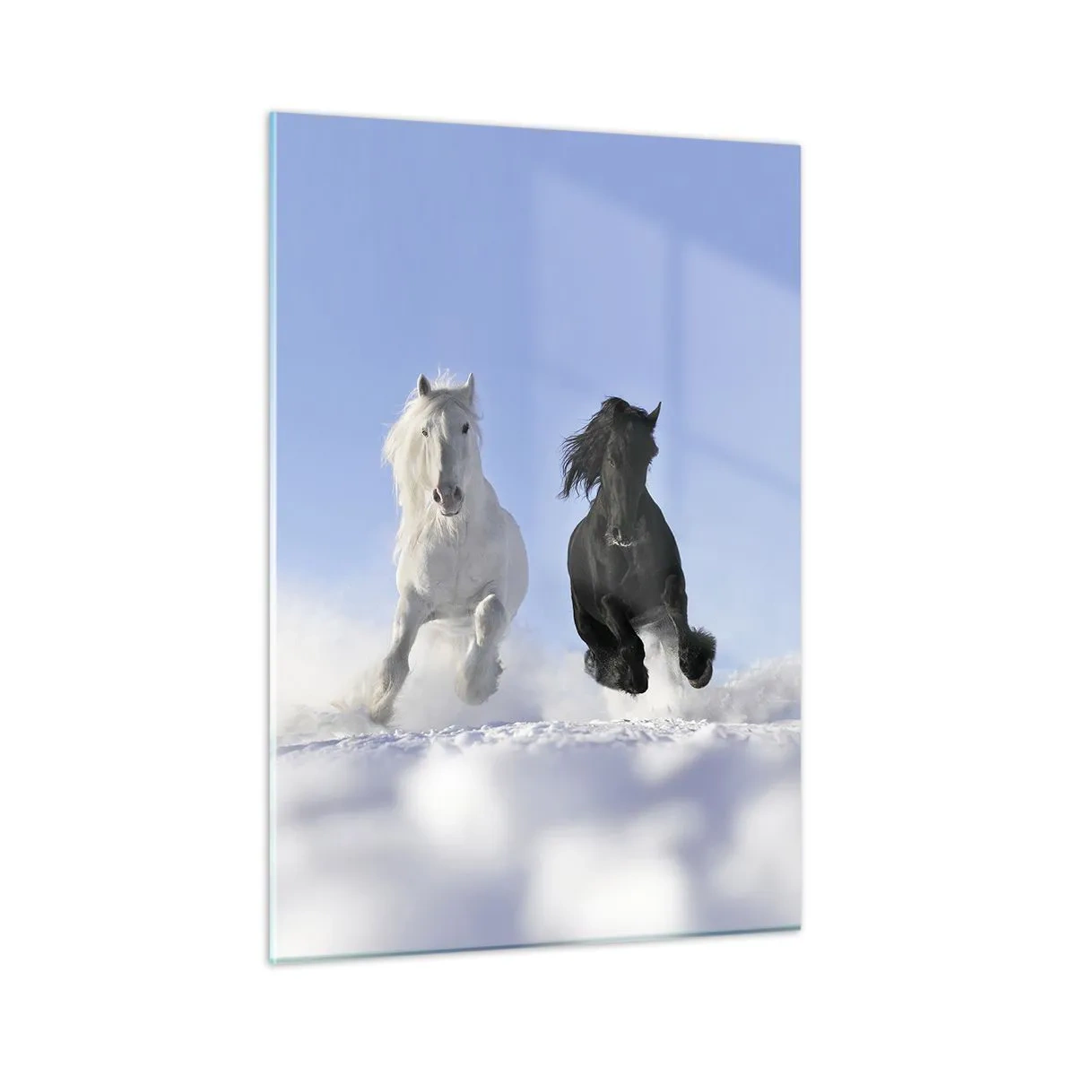 Glass picture - Black and White Gallop - 50x70 cm