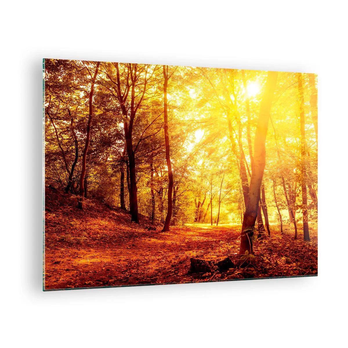 Glass picture - Autumn forest illuminated by the warm glow of the sun - 70x50cm - Towards Golden Plain - Modern wall decoration for the living room and bedroom ARTTOR