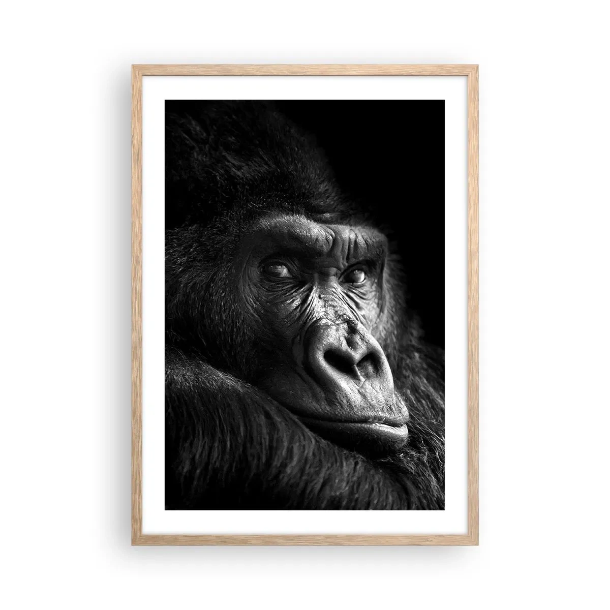 Poster in light oak frame - What Are You Looking At? - 50x70 cm