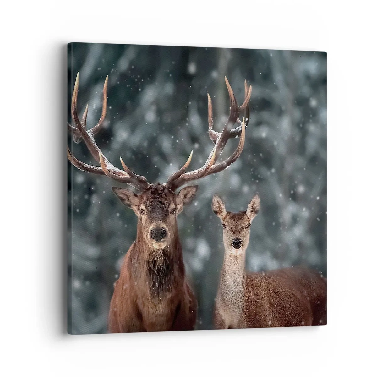 Canvas picture - Master of the Forest with His Wife - 40x40 cm