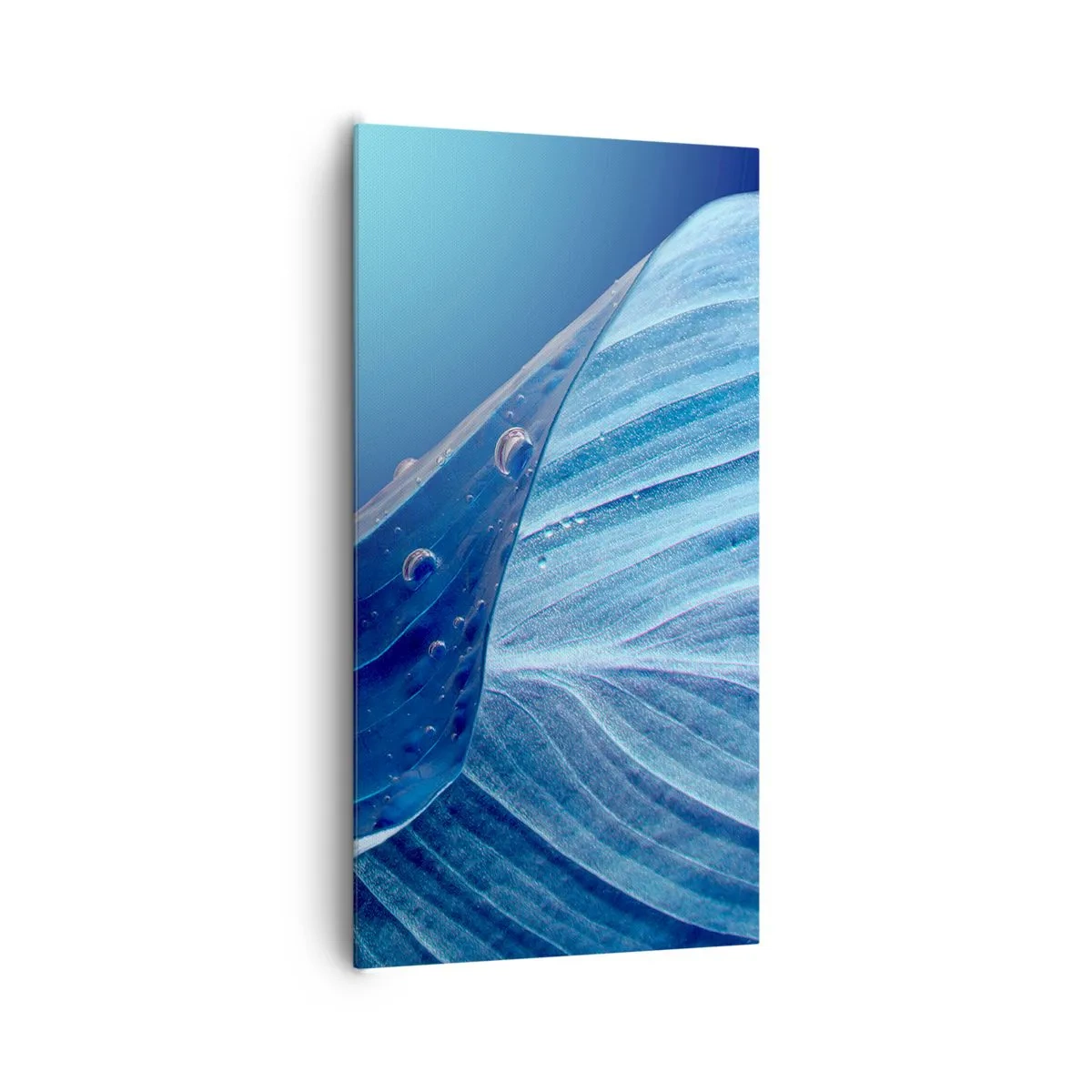 Canvas picture - Hidden Drops of Blue - 65x120 cm