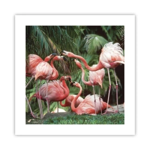 Poster - Afternoon Gossip - 40x40 cm