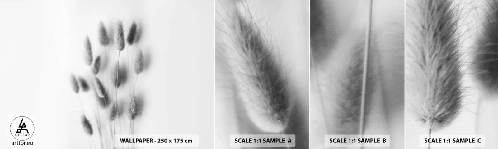 Photo Wallpaper Sample Standard Eco - Her Softness Grass - Grass, Black and white, Flowers - 100x30 cm