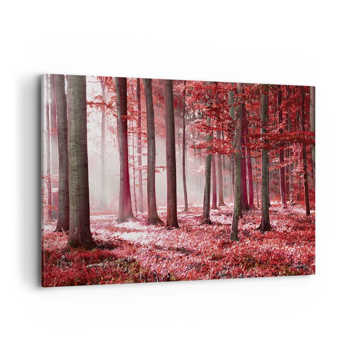 Canvas picture - Red Equally Beautiful - 100x70 cm