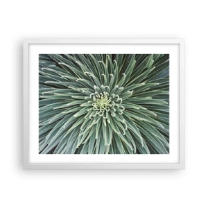 Poster in white frmae - Birth of a Star - 50x40 cm