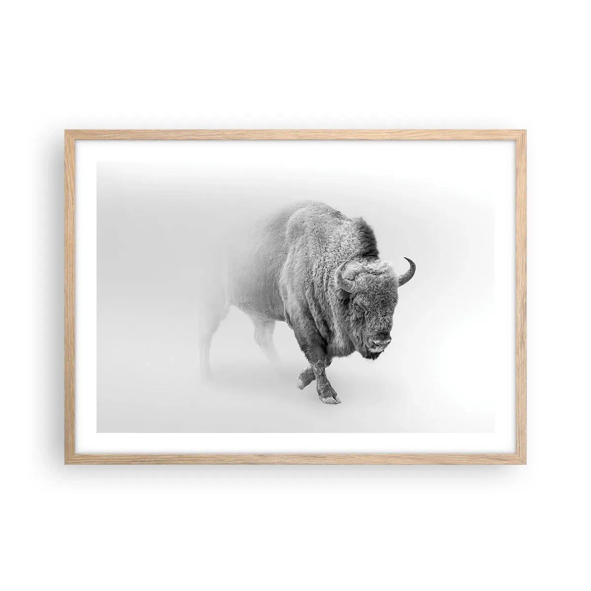 Poster in light oak frame - King of the Prairie - 70x50 cm