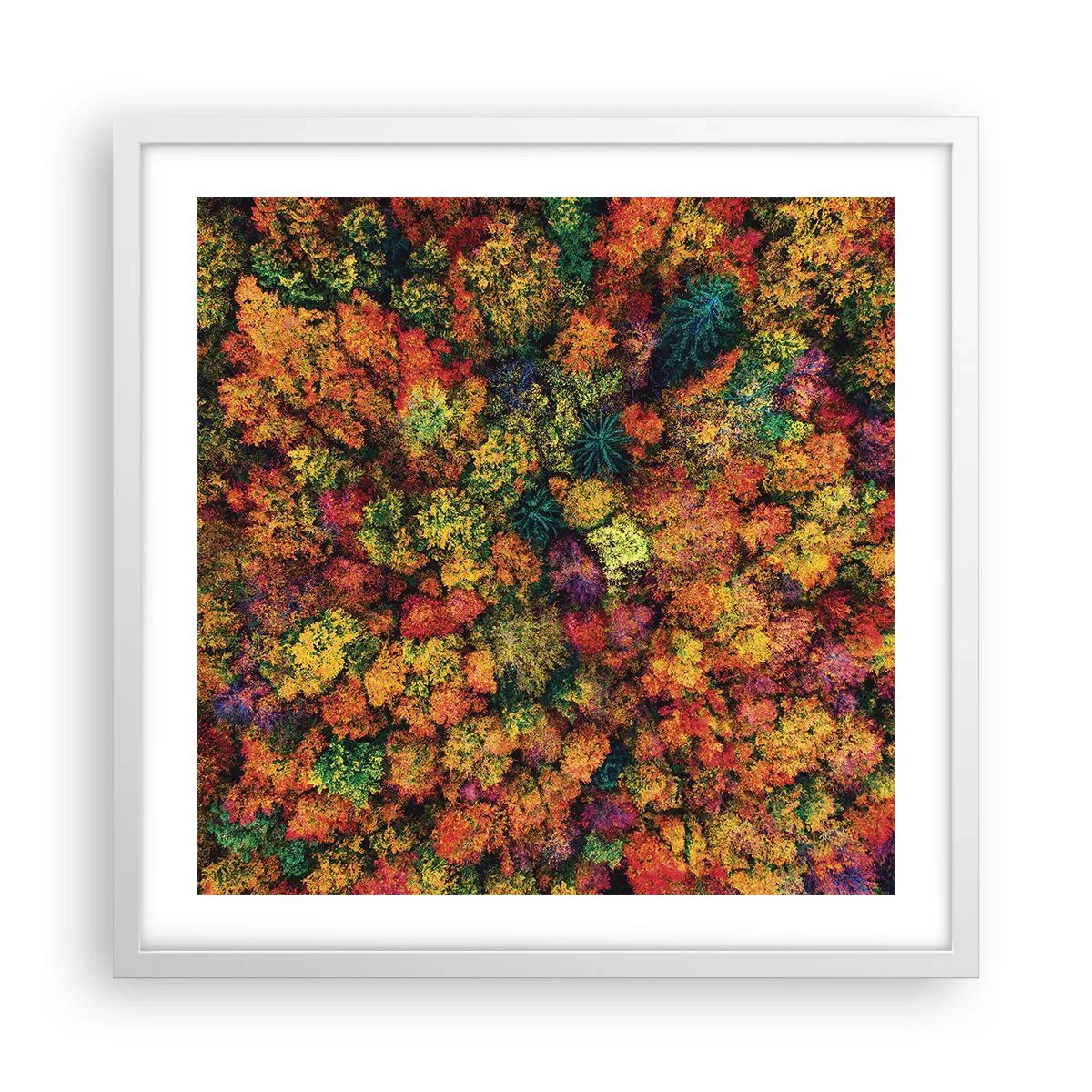 Poster in white frmae - Bouquet of Autumn Flowers - 50x50 cm