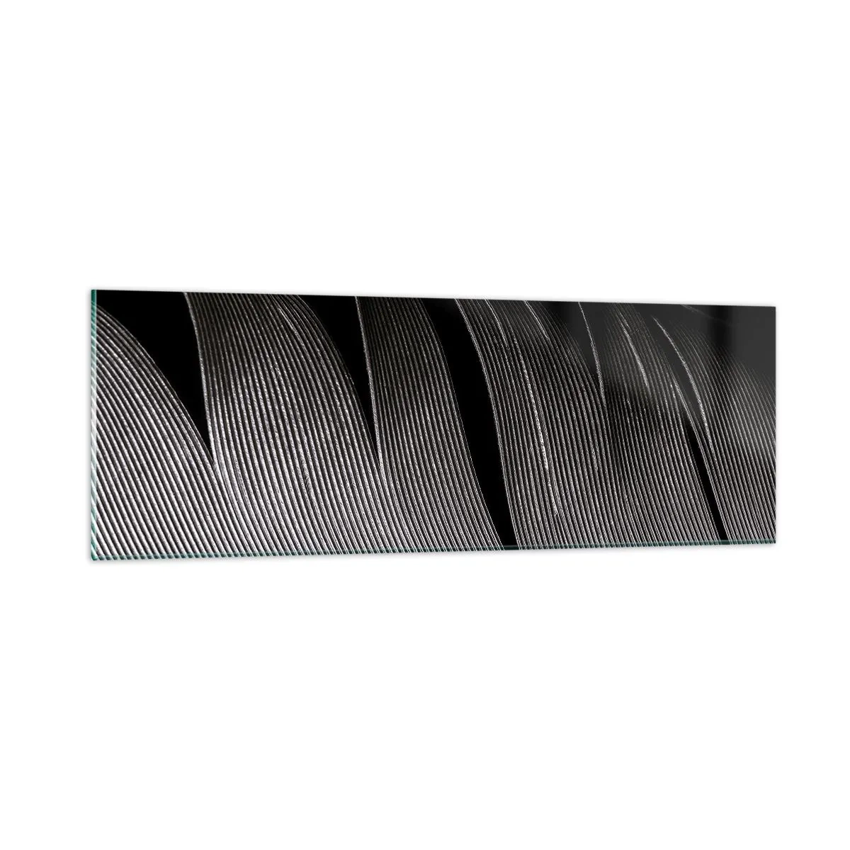 Glass picture - Feather - Wonderful Constract - 90x30 cm