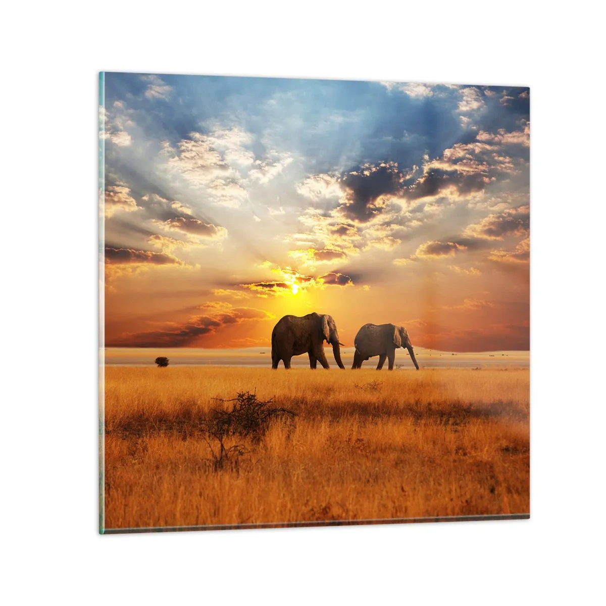 Glass picture - Family Walk - 70x70 cm