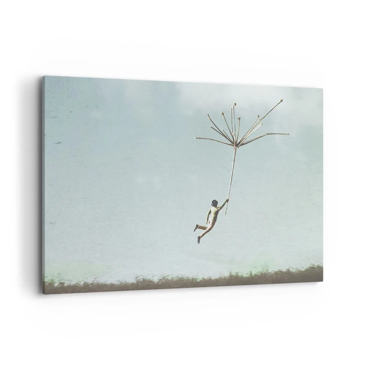 Canvas picture - Kites, Dandelions, Wind - 120x80 cm