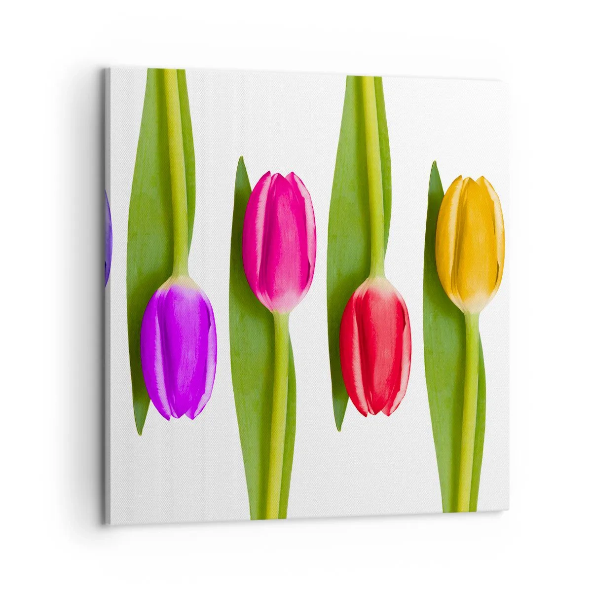 Canvas picture - Rainbow Composition - 60x60 cm