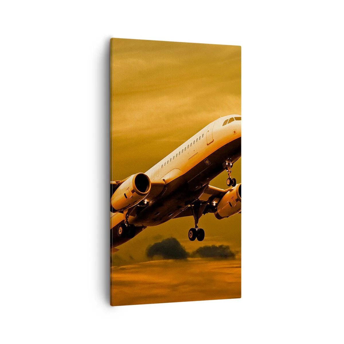 Canvas picture - Flight towards the Sun - 55x100 cm