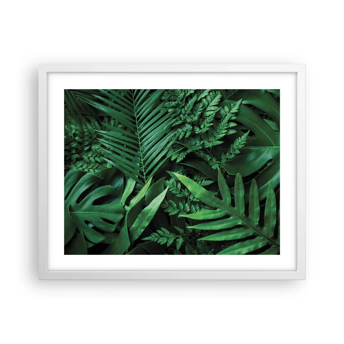 Poster in white frmae - In a Green Hug - 50x40 cm