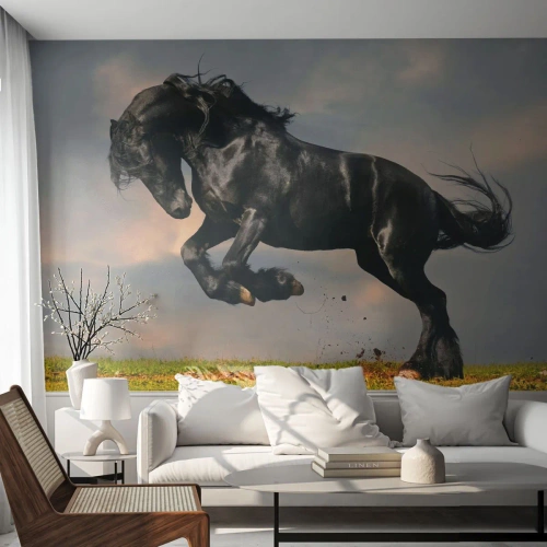 Photo Wallpaper Premium Canvas - Beautiful and Free - Animals, Horse, Landscape - 300x210 cm