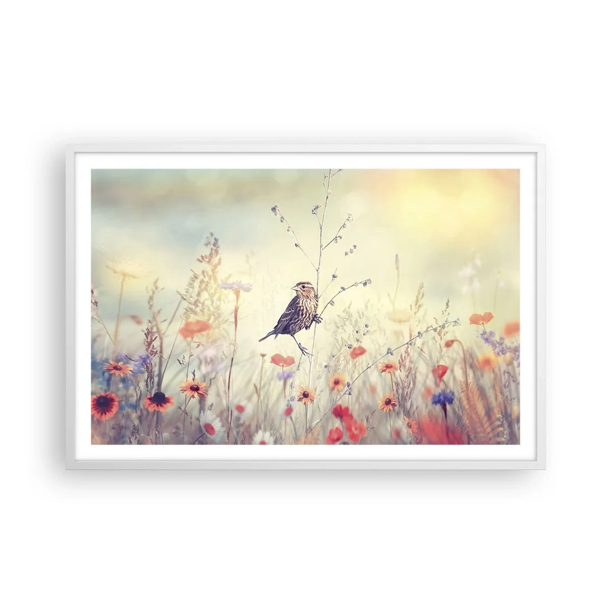 Poster in white frmae - Bird Portrait with a Meadow in the Background - 91x61 cm