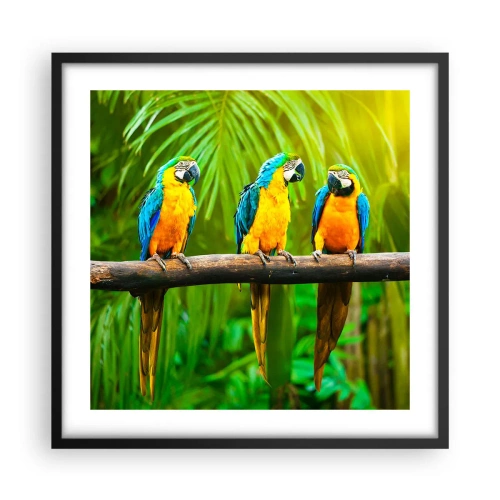 Poster in black frame - Did You Hear that She…? - 50x50 cm