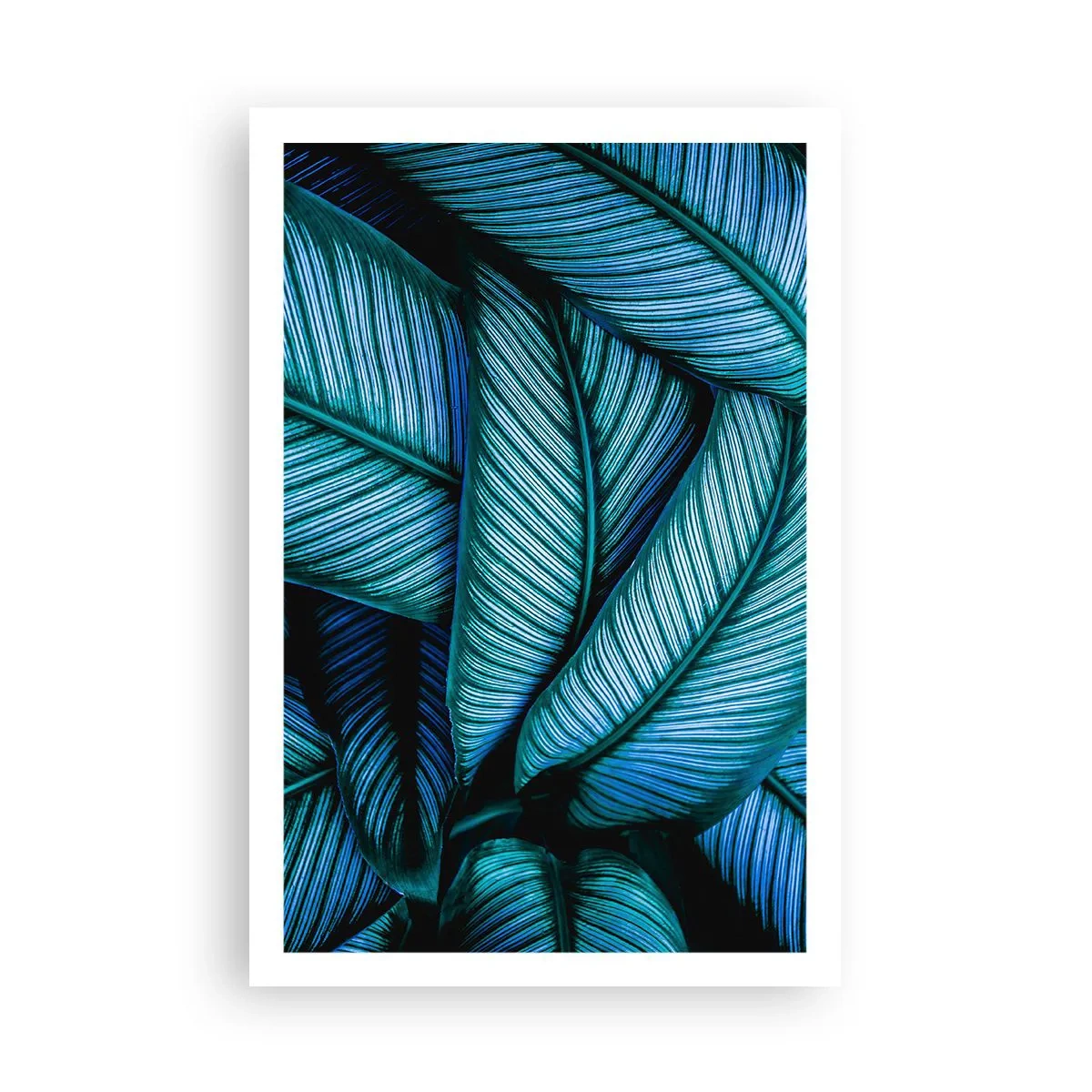 Poster - Lifelines - 61x91 cm