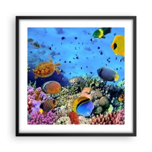 Poster in black frame - What Do We Know about Life? - 50x50 cm