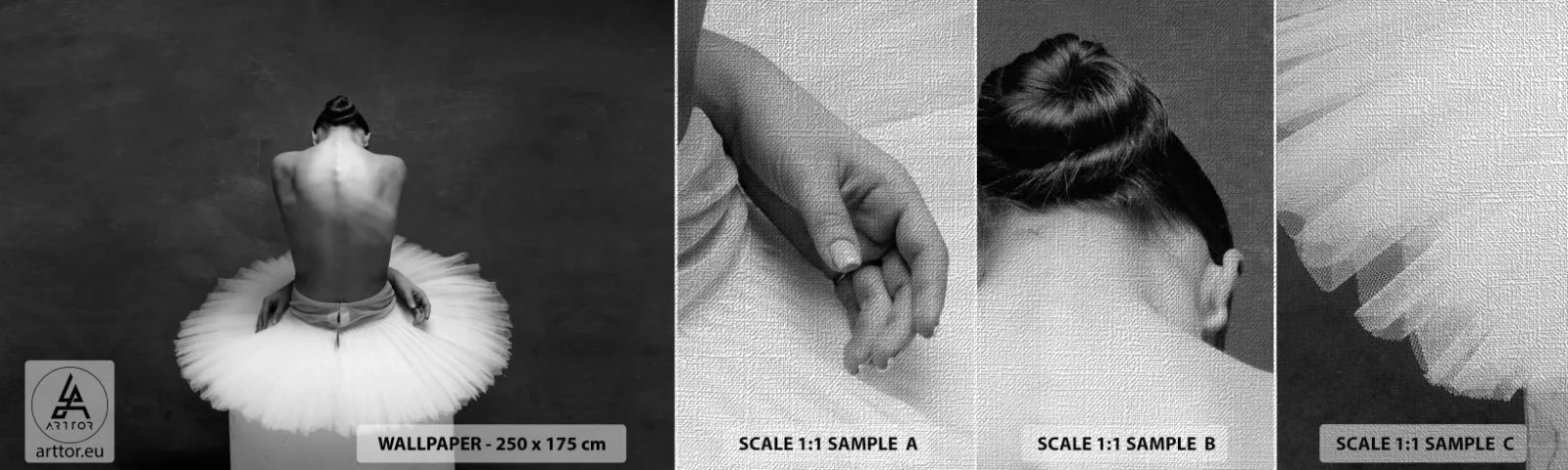 Photo Wallpaper Sample Premium Canvas - It Is Blossoming - Ballerina, Dance, Ballet - 100x30 cm