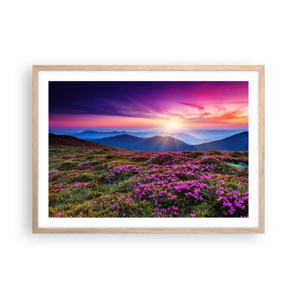 Poster in light oak frame - Smells Strongly of Herbs - 70x50 cm