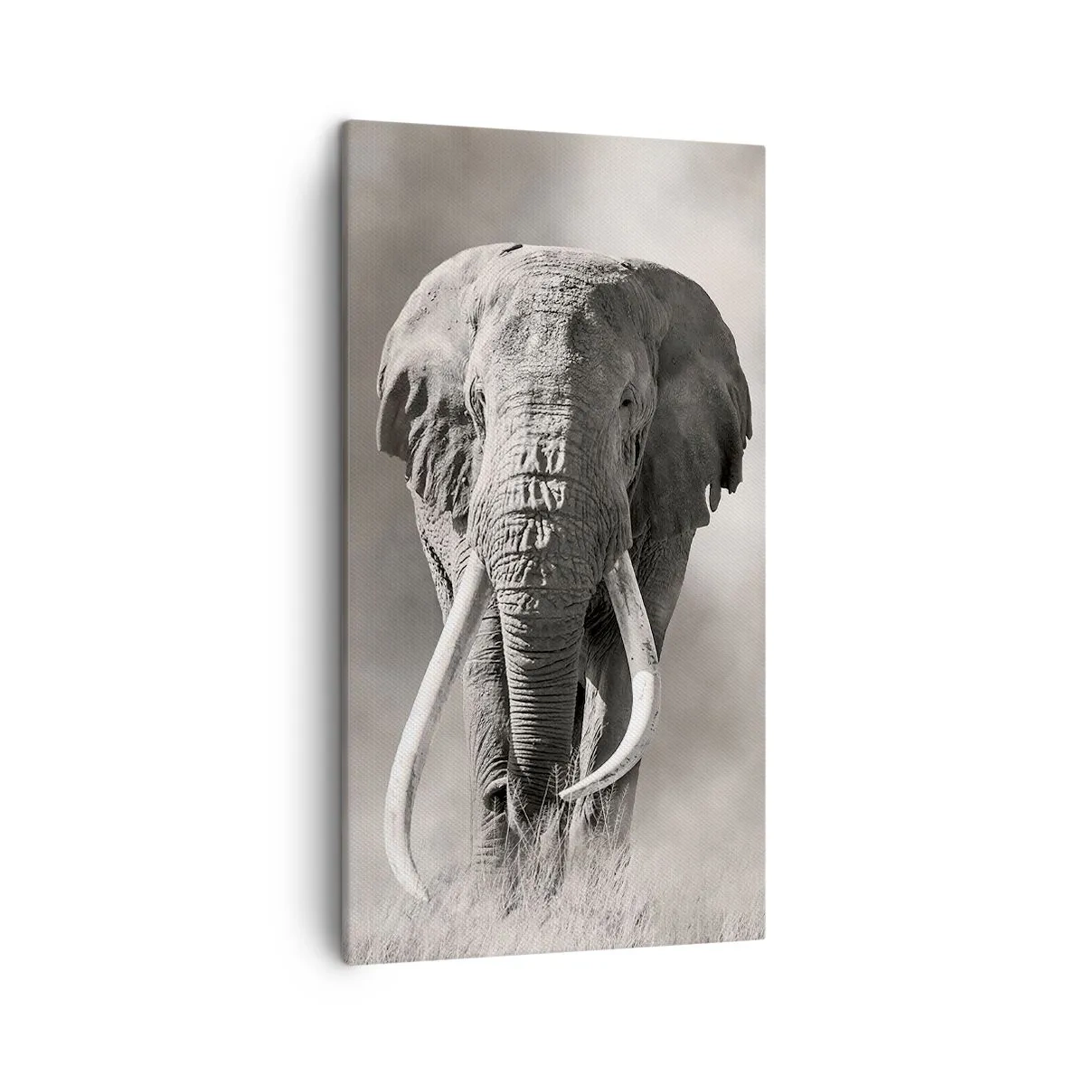 Canvas picture - African Patriarch - 45x80 cm