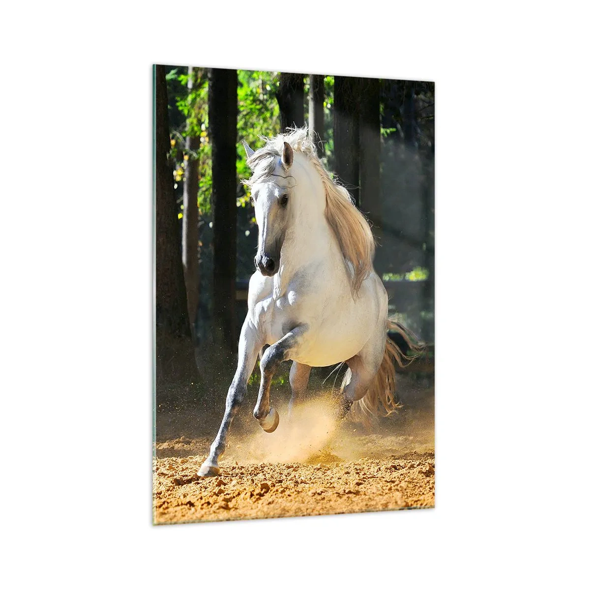 Glass picture - Straight from a Fantasy Book - 70x100 cm