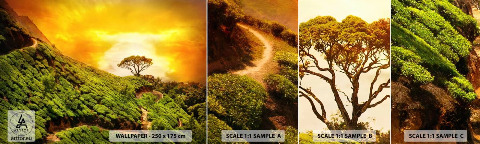 Photo Wallpaper Sample Standard Eco - Winding Path, Green Slope - Landscape, Tea Plantation, India - 100x30 cm