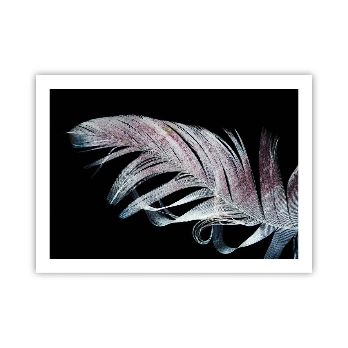 Poster - Think about Touch - 70x50 cm