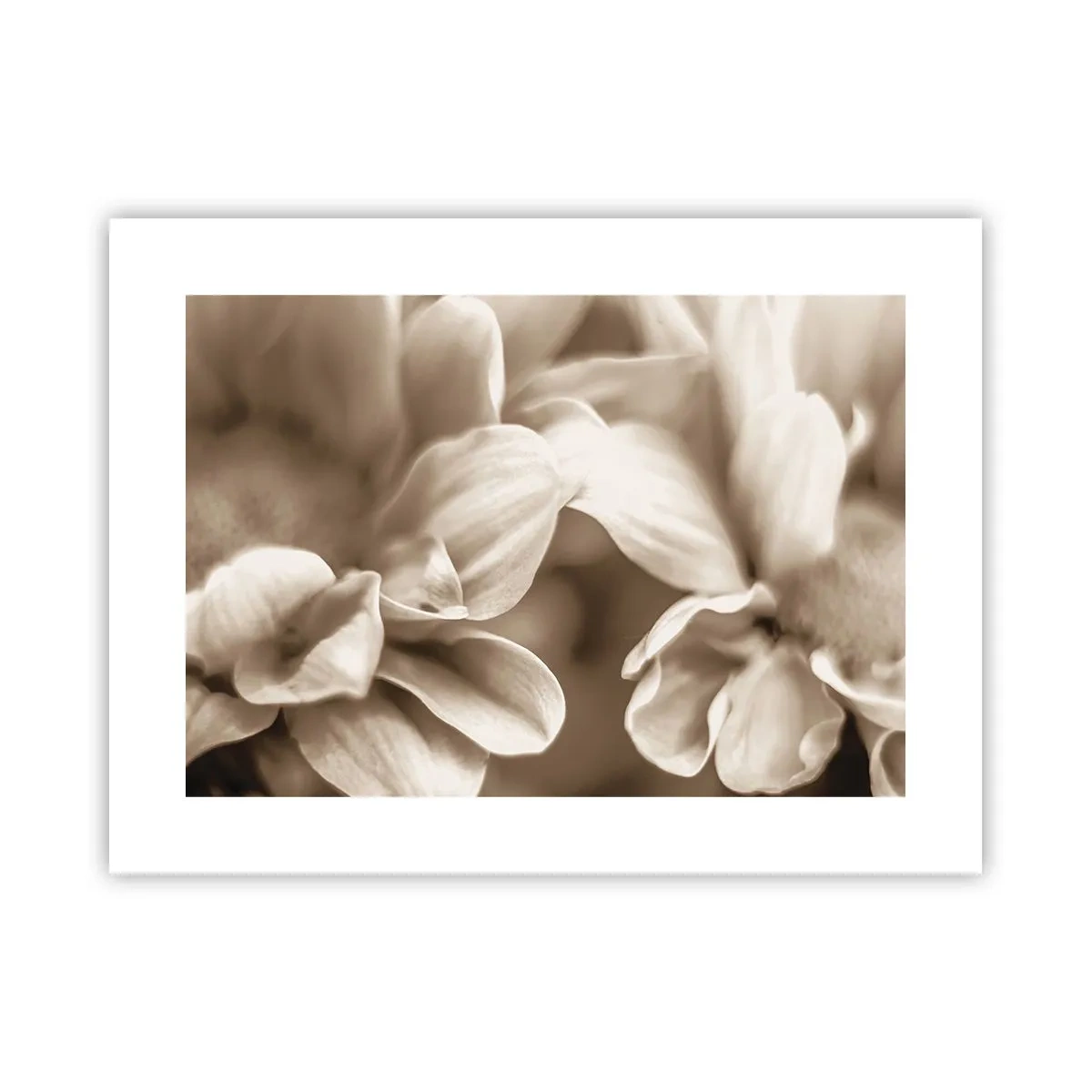 Poster - Soft as a Smile - 40x30 cm