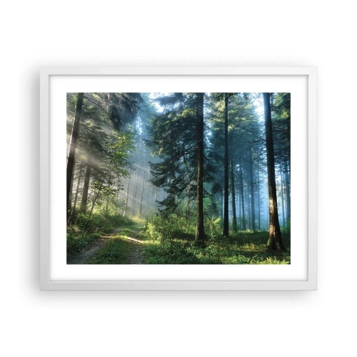 Poster in white frmae - Radiant at Dawn - 50x40 cm
