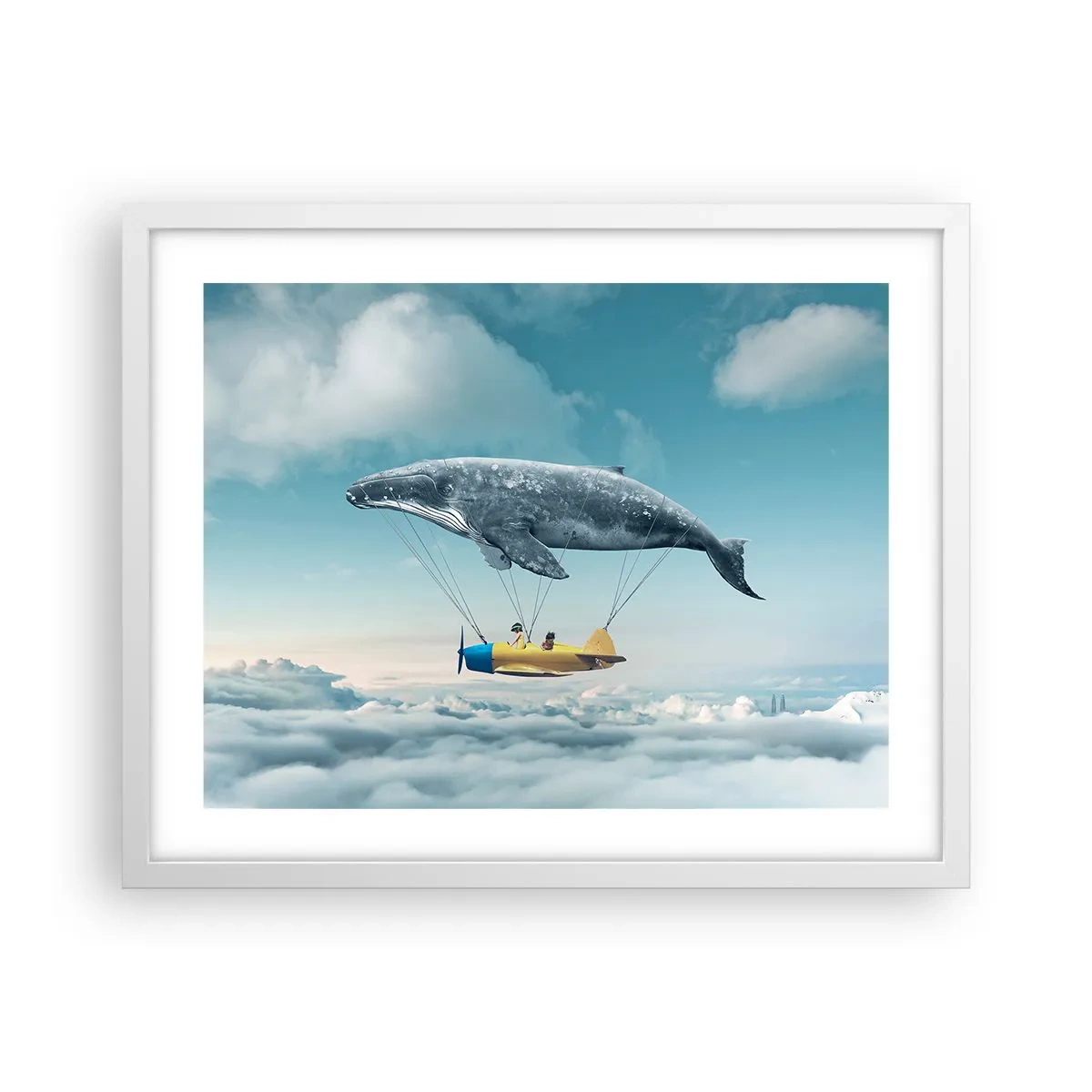 Poster in white frmae - Why Not? - 50x40 cm