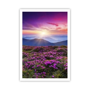 Poster - Smells Strongly of Herbs - 70x100 cm