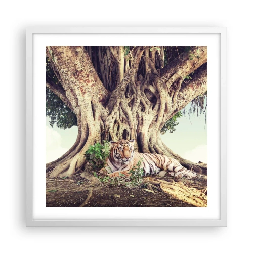 Poster in white frmae - View from the Genesis - 50x50 cm