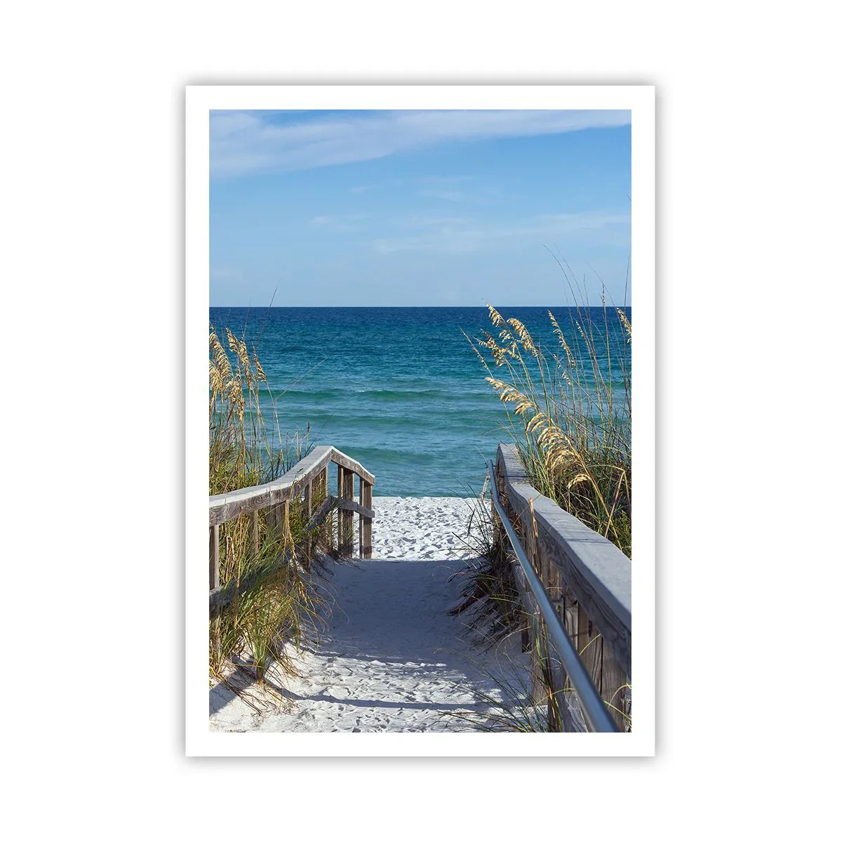 Poster - In the Sun, out in the Wind - 70x100 cm
