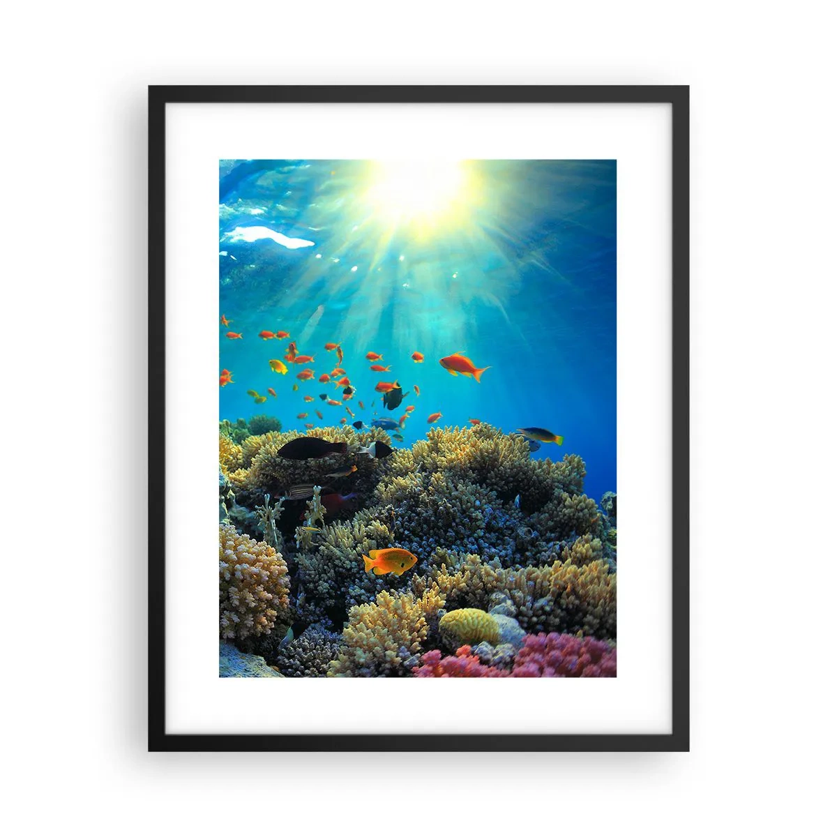 Poster in black frame - Underwater Treasures - 40x50 cm