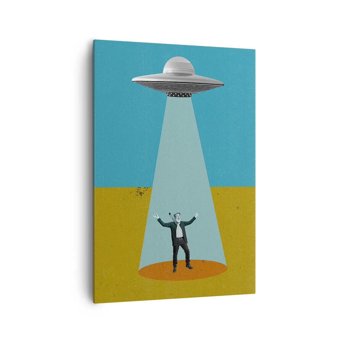 Canvas picture - Close Encounter - 70x100 cm